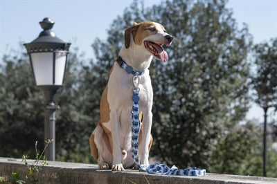 Morso Halsband Hond Gerecycled Splash Blauw